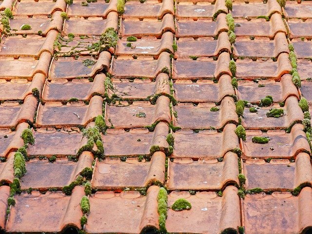 old-roof-2703949_640 Manutenção de telhados residenciais: