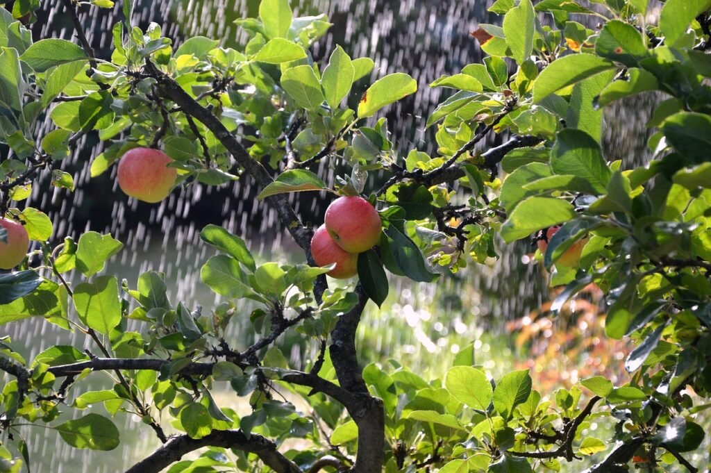apple-tree-3664311_1280-1024x681 Jardim comestível em sua residência: